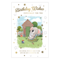 6pk Cards C75 Birthday Open - Tiger Feet Ireland