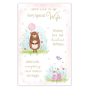 6pk Cards C375 Birthday Wife - Tiger Feet Ireland