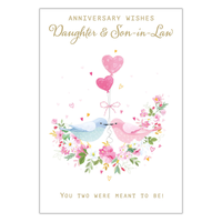 6pk Cards C50 Daughter & Son-In-Law Anniversary - Tiger Feet Ireland
