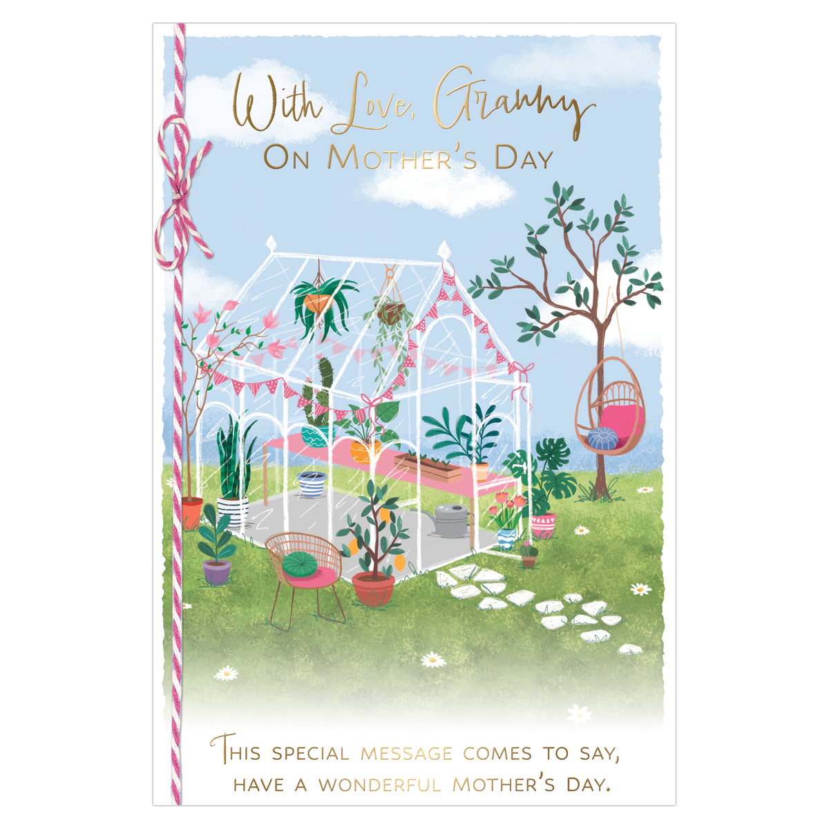 6pk Cards C75 Granny - Tiger Feet Ireland