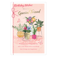 6pk Cards C75 Birthday Friend - Tiger Feet Ireland