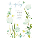 6pk Cards C50 Sympathy - Tiger Feet Ireland