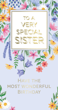 6pk Cards C55 Birthday Sister - Tiger Feet Ireland